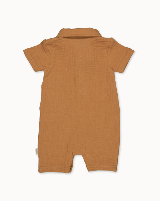 Beige pet | Amber