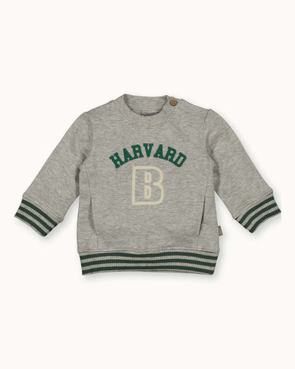 Sweater Harvard | Grey Melange