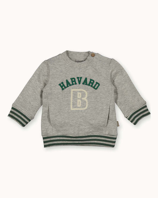 Sweater Harvard | Grey Melange