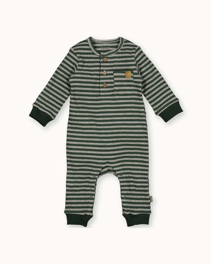 Suit Striped | Dessin
