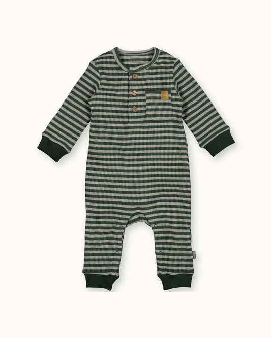 Suit Striped | Dessin