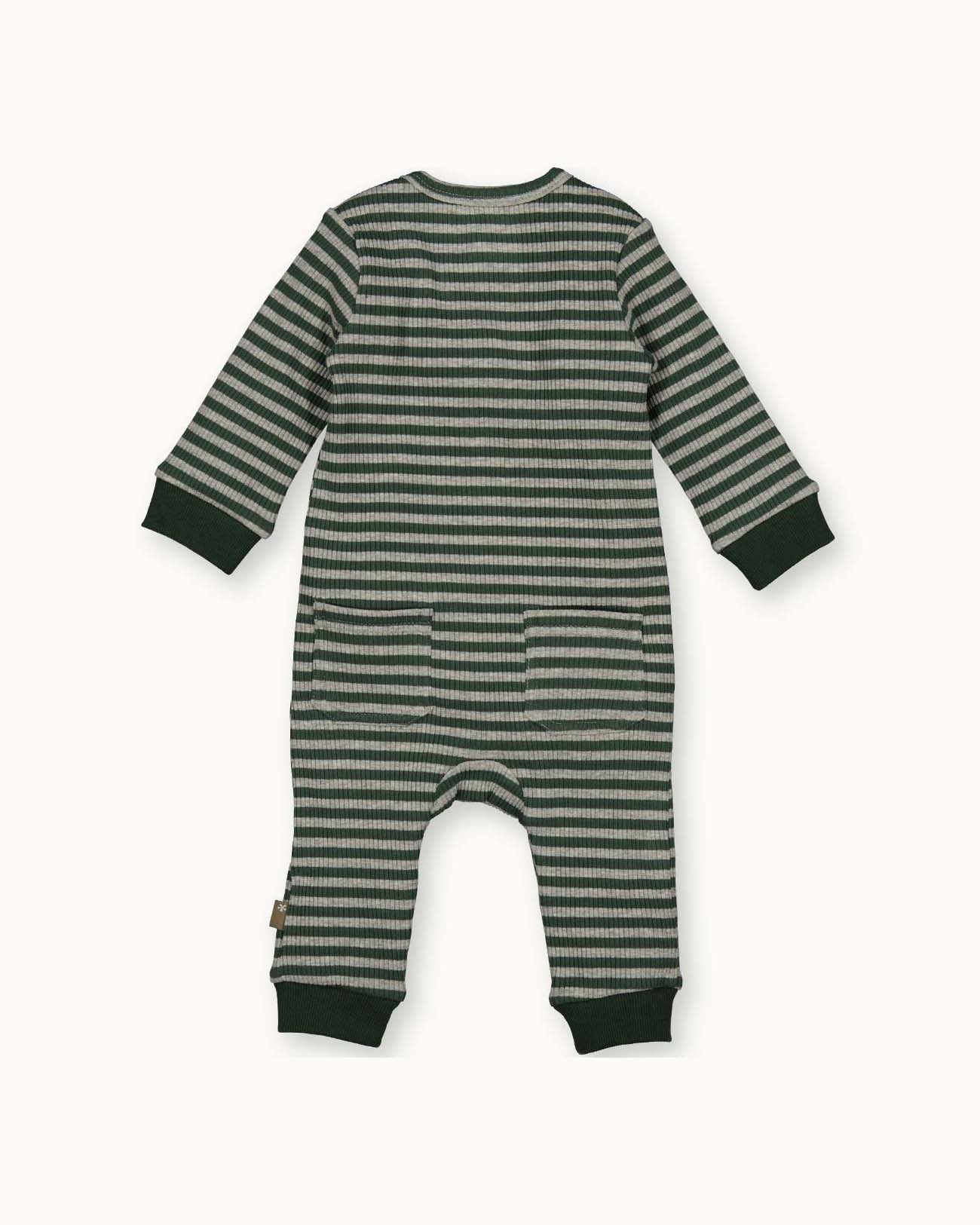 Suit Striped | Dessin