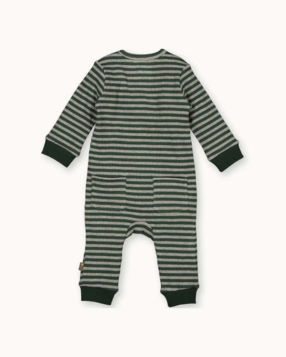 Suit Striped | Dessin
