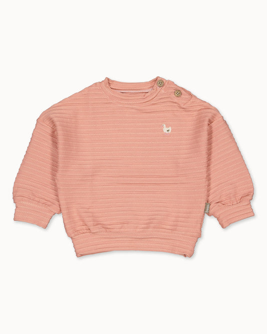 Sweater Cable Goose | Powder Pink