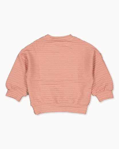 Sweater Cable Goose | Powder Pink