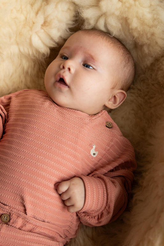 Sweater Cable Goose | Powder Pink