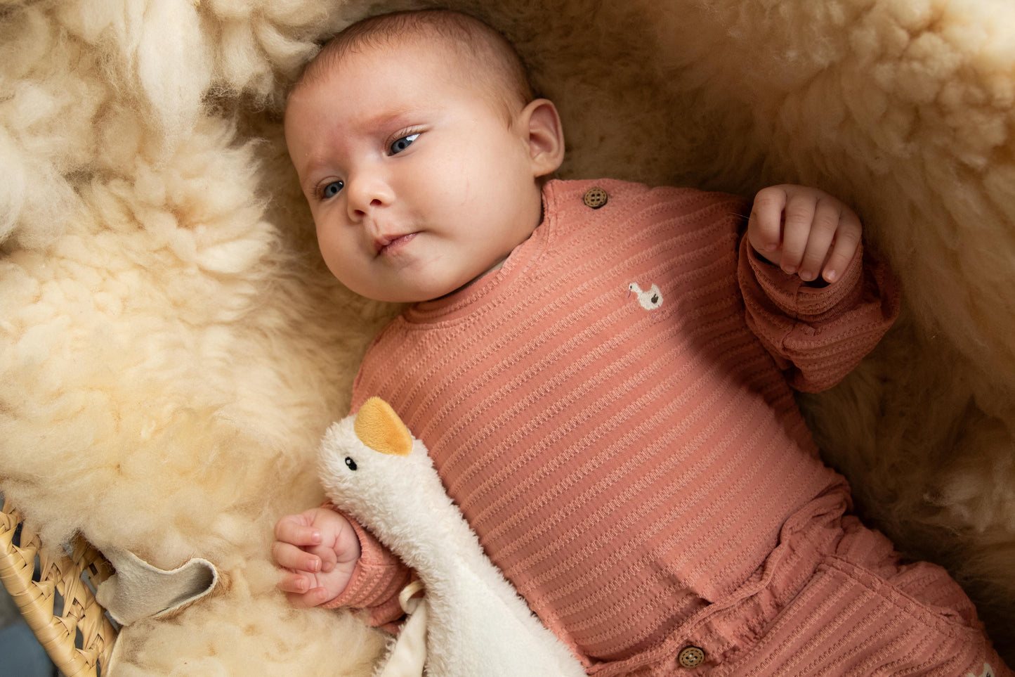 Sweater Cable Goose | Powder Pink