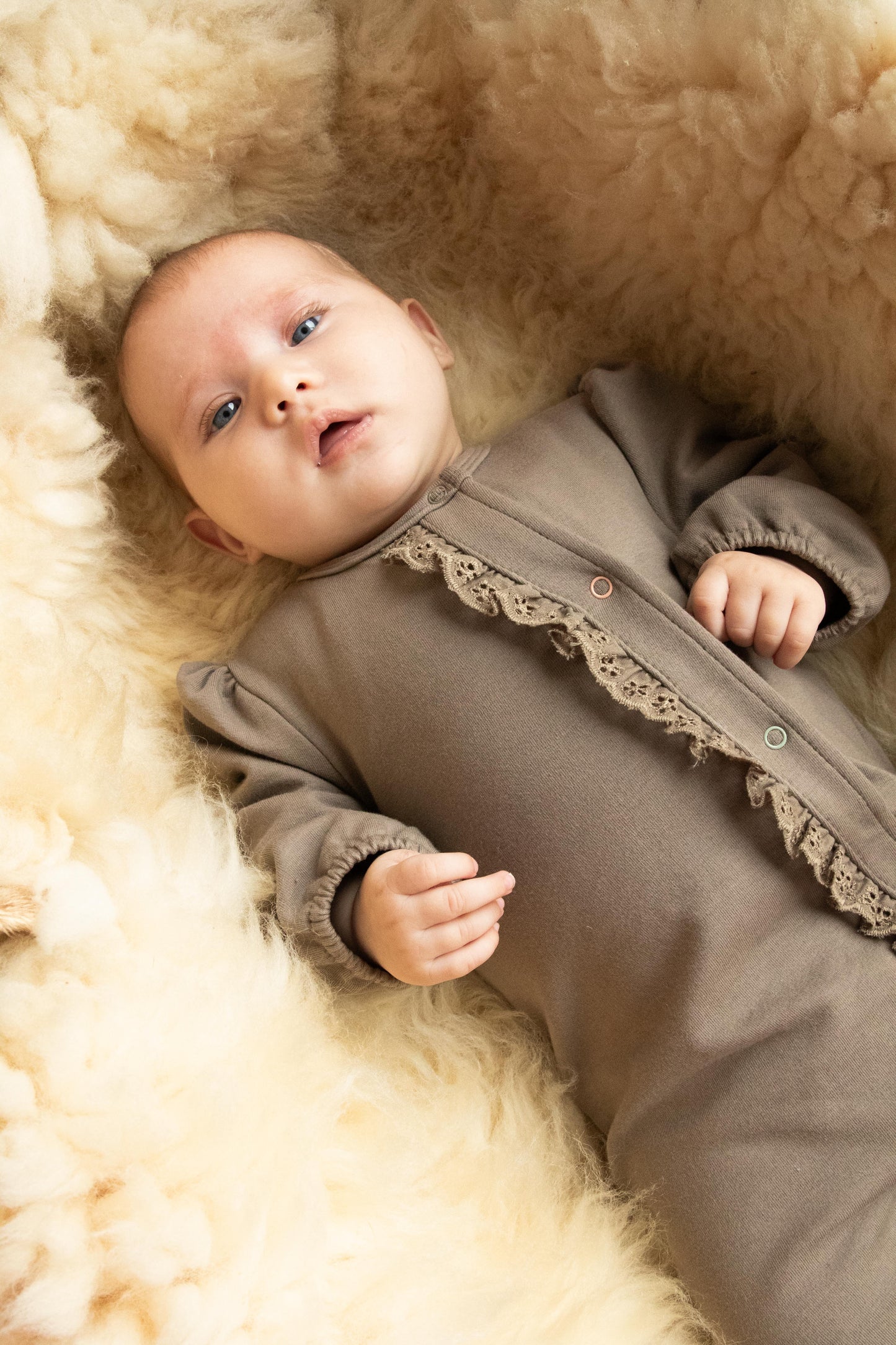 Suit Ruffles | Walnut