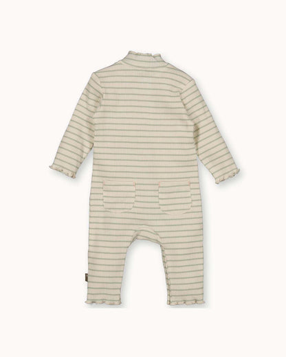Suit Rib Striped | Off White