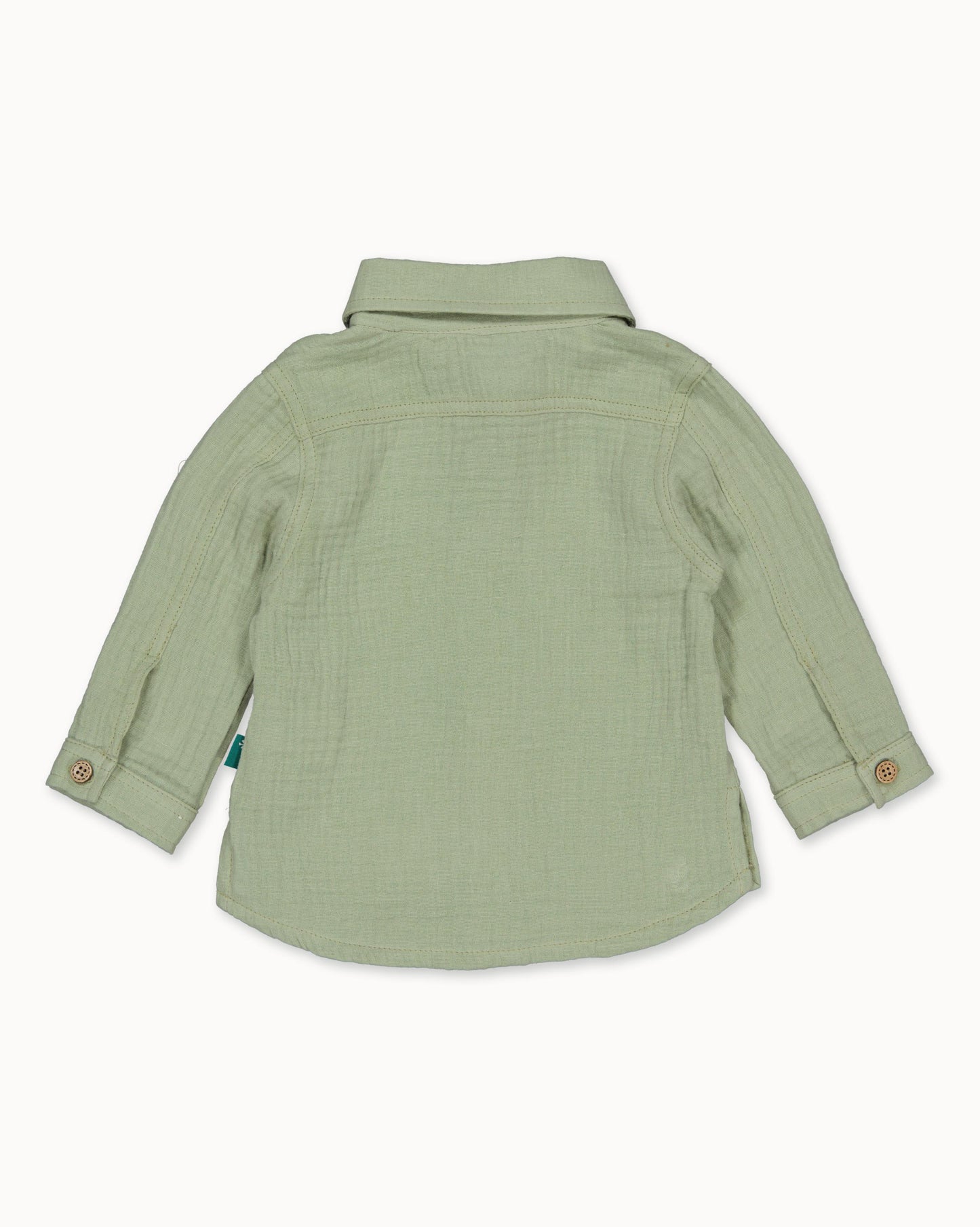 Saliegroen overhemd | Teal