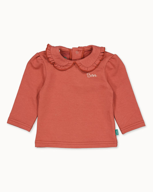 Shirt Collar | Cedar Wood