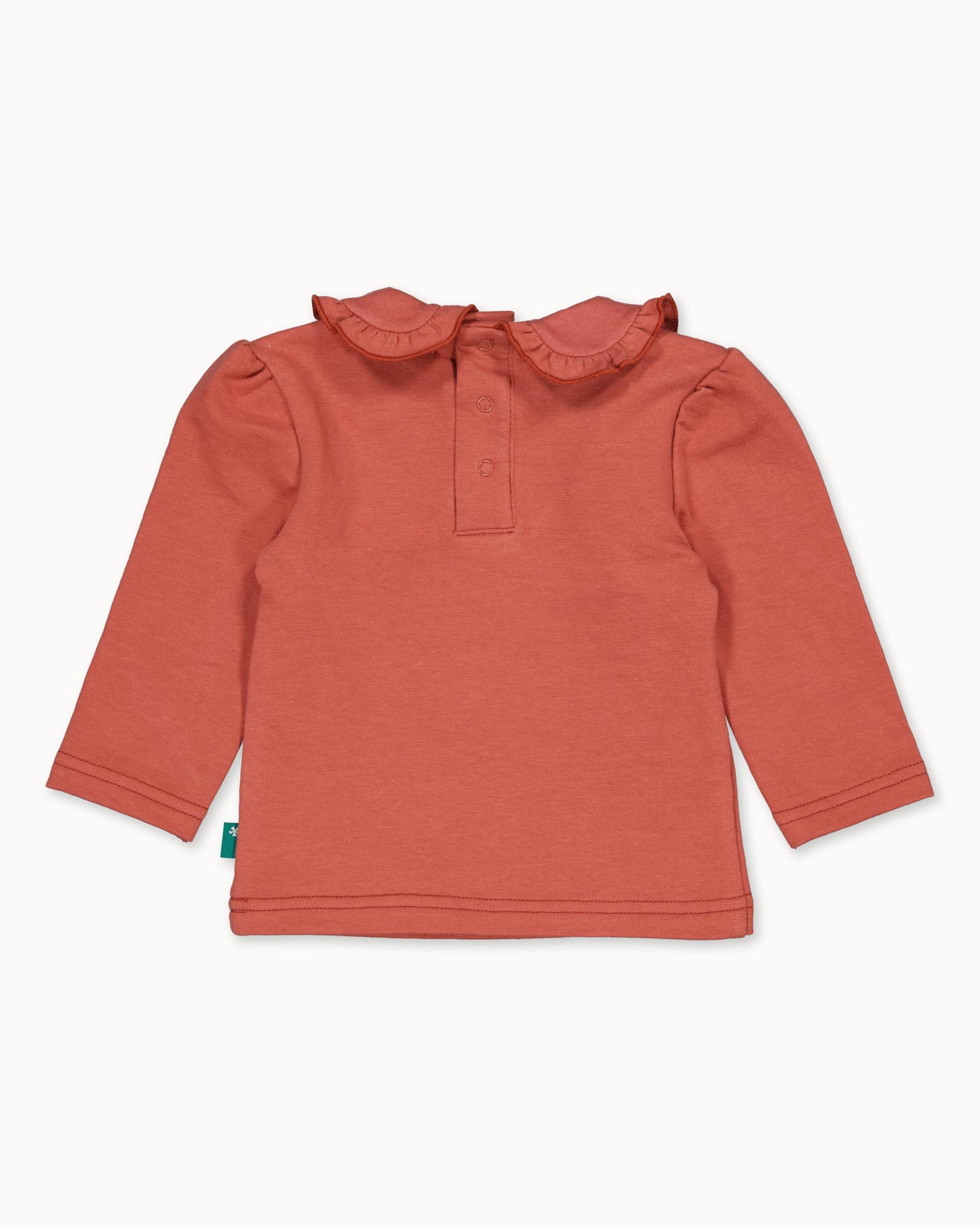 Shirt Collar | Cedar Wood