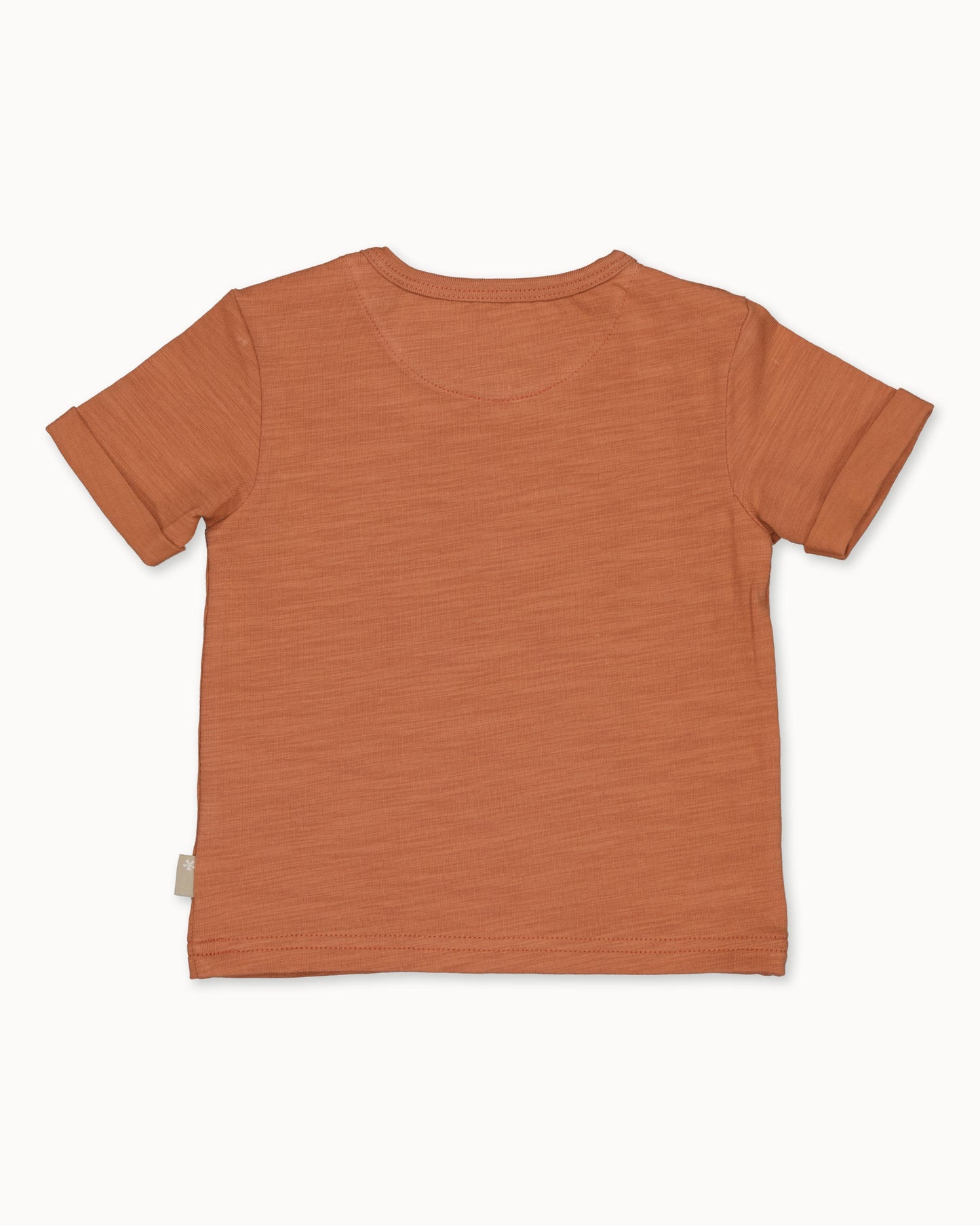 Beige short | Amber