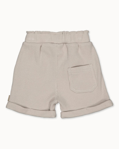 Multicolor set | Fog
