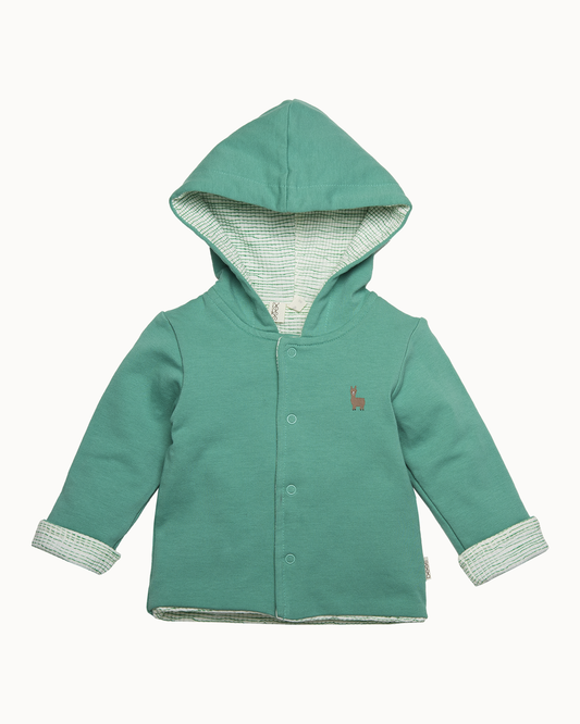 Groen vest met capuchon | Green