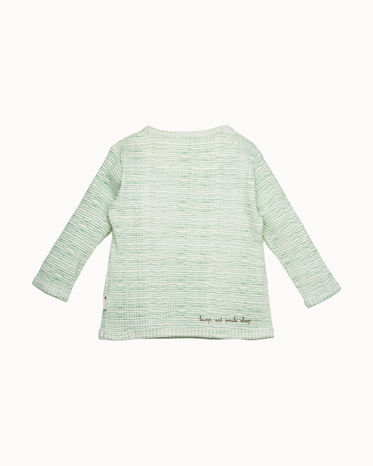 Lichtgroene sweater | Dessin