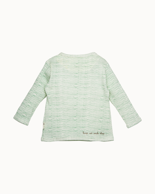 Lichtgroene sweater | Dessin