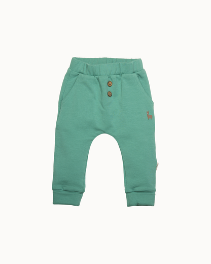 Groene broek | Green