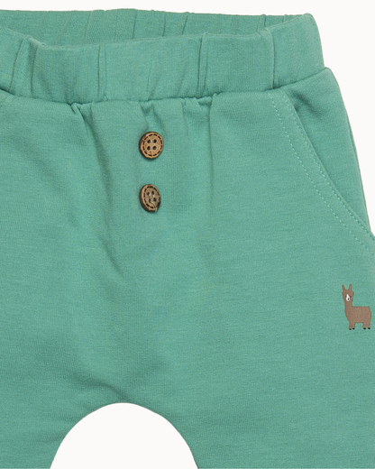 Groene broek | Green