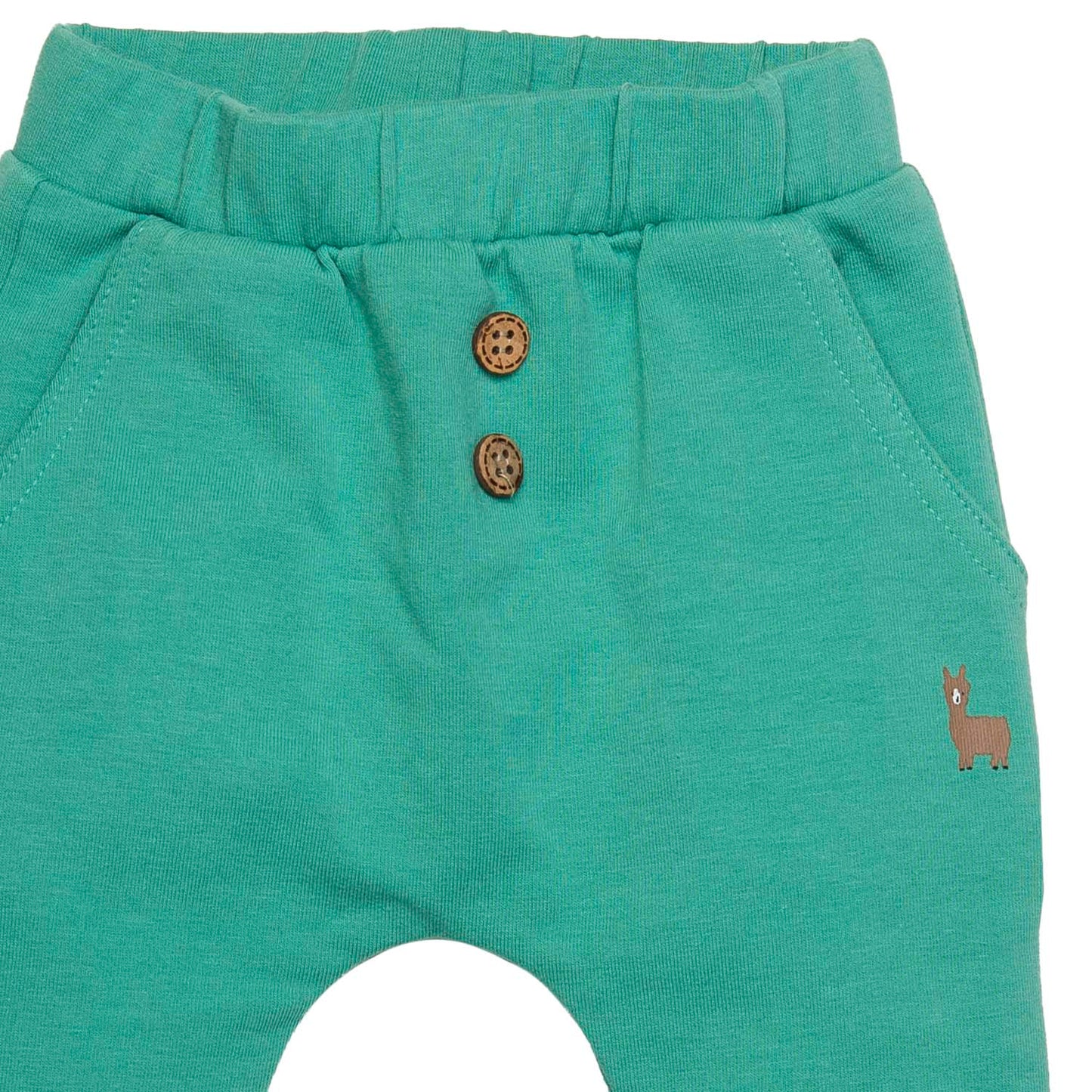 Groene broek | Green