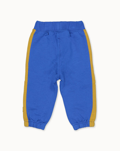 PANTS | Royal Blue