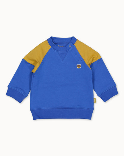 SWEATER | Royal Blue