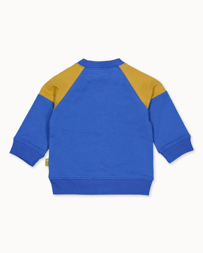 SWEATER | Royal Blue