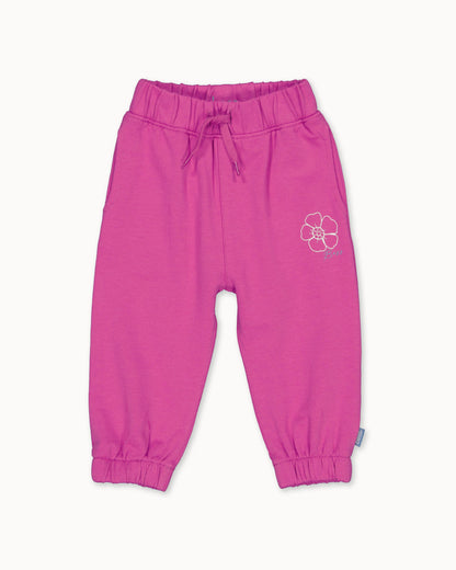 PANTS | Fuchsia