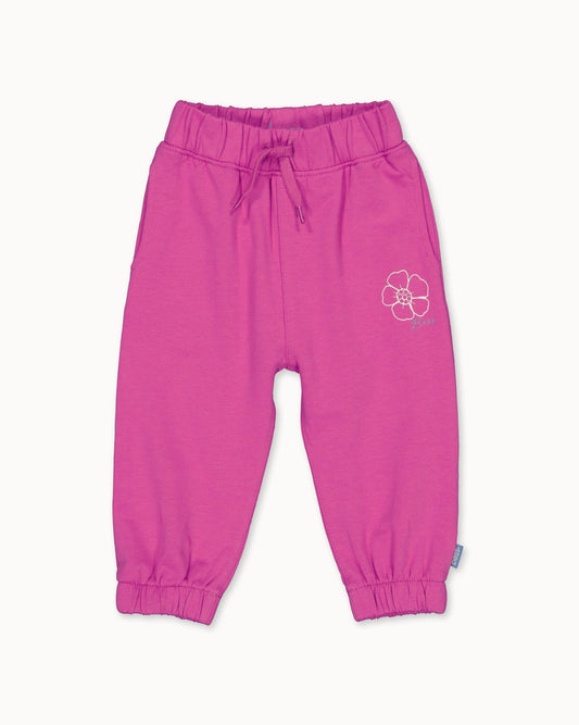 PANTS | Fuchsia