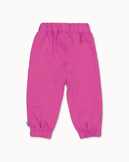 PANTS | Fuchsia