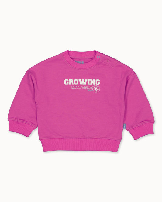 SWEATER | Fuchsia